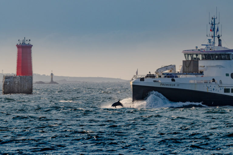 Organisation d'événements avec la Compagnie maritime Penn ar Bed